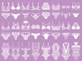 Collection of lingerie. Panty and bra set. Royalty Free Stock Photo