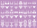 Collection of lingerie. Panty and bra set.