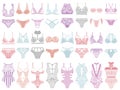 Collection of lingerie. Panty and bra set. Royalty Free Stock Photo