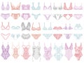 Collection of lingerie. Panty and bra set. Royalty Free Stock Photo