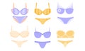 Collection of Lingerie, Yellow and Blue Panties and Bras, Underwear clothes Vector Illustration