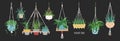 Collection of macrame hangers for potted plants. Set of hanging planters made of rope, elegant handmade home decorations