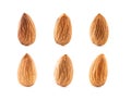 almonds isolated on white background with clipping path Royalty Free Stock Photo