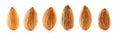 Macro almonds isolated on white background with clipping path Royalty Free Stock Photo