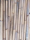 a collection of many dry bamboos