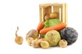 Collection of many fresh winter vegetables in a wooden crate