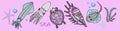 Collection of marine inhabitants in a children`s style on a pink background. shell stickers, turtle, squid and tortoise