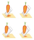 Collection. Mature beautiful carrots. Vegetables grind to grater. Preparation of tasty, healthy food. Set of vector illustrations