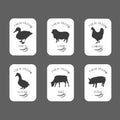 Collection of Meat logos, Labels and Badges.