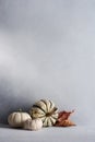 Collection of miniature pumpkins