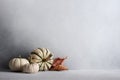 Collection of miniature pumpkins