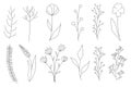 Collection of minimalistic simple floral elements. Graphic sketch. Fashionable tattoo design. Flowers, grass and leaves