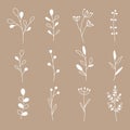 Collection of minimalistic simple floral elements. Graphic sketch. Fashionable tattoo design. Flowers, grass and leaves