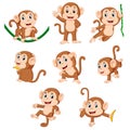 The collection of the monkey playing on the green rope with the different posing