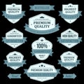 Collection monochrome antique award badge shield with ribbon premium quality vector