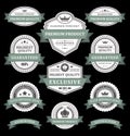 Collection monochrome antique award badge shield with ribbon premium quality vector