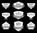 Collection monochrome antique award badge shield with ribbon premium quality vector