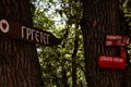 Collection of mountain signs hanging on two trees for directions with green leaves in the background