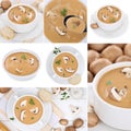 Collection of mushroom soup soups with mushrooms in autumn