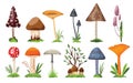 Collection of mushrooms and toadstools. Illustration of the different types of mushrooms on a white background. Colorful Royalty Free Stock Photo