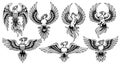 Collection of Stylized Phoenix Bird Illustrations Royalty Free Stock Photo
