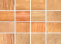 Collection Natural interior with wood wall,Color wood samples. ÃÂ¡atalog of wood materials for design on a light background.