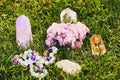 Collection of natural mineral crystals on green grass