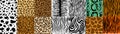 Set of seamless patterns with skin of fur textures of wild animals Royalty Free Stock Photo
