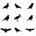 Collection of nine bird silhouettes in a grid pattern on a white background illustration art Royalty Free Stock Photo