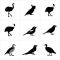 A collection of nine different bird silhouettes arranged in a three by three grid pattern Royalty Free Stock Photo