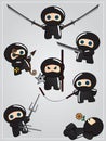 Collection of ninja weapon