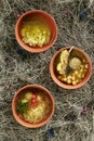 Collection of Noodle, Meatballs and Chickpea Soup on a Rustic Background Top View
