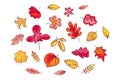 Collection Of November Autumn Hand Drawn Leafage