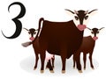 Collection number for kids: animals farm - number three, cows.