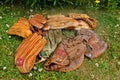 Collection of old baseball gloves