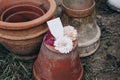 Collection of old empty clay flower pots. Blank tag, label mockup with dahlia, cosmos and rose flowers.Moody gardening