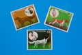 Collection of old postage stamps Royalty Free Stock Photo