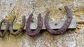 Collection of old rusty horseshoes hanging on a rack Royalty Free Stock Photo