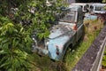 A collection of old rusty Land Rover Defenders in a garden with trees and bushes growing around them