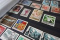 Collection of old soviet stamps in album