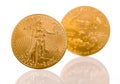 Collection of one ounce gold coins