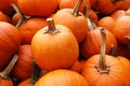 A collection of orange pumpkins on an autumn market in Switzerlad Royalty Free Stock Photo