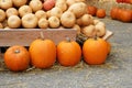 A collection of orange pumpkins on an autumn market in Switzerlad Royalty Free Stock Photo