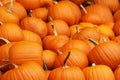 A collection of orange pumpkins on an autumn market in Switzerlad Royalty Free Stock Photo