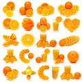 Collection of oranges fruits
