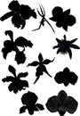 Collection of orchid silhouettes