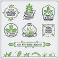 Collection of Organic food labels and design elements. Royalty Free Stock Photo