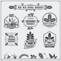 Collection of Organic food labels and design elements. Royalty Free Stock Photo