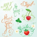 Collection of organic and juice signs, elements, calligraphic