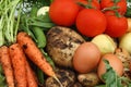 Collection of organic vegetables and eggs